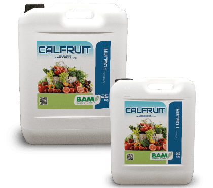 CALFRUIT