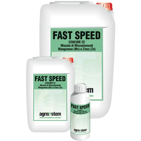 FAST SPEED