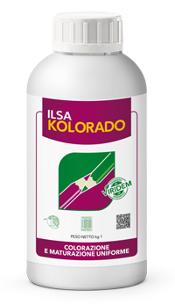 ILSA KOLORADO