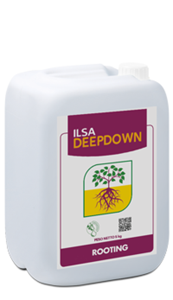 ILSADEEPDOWN