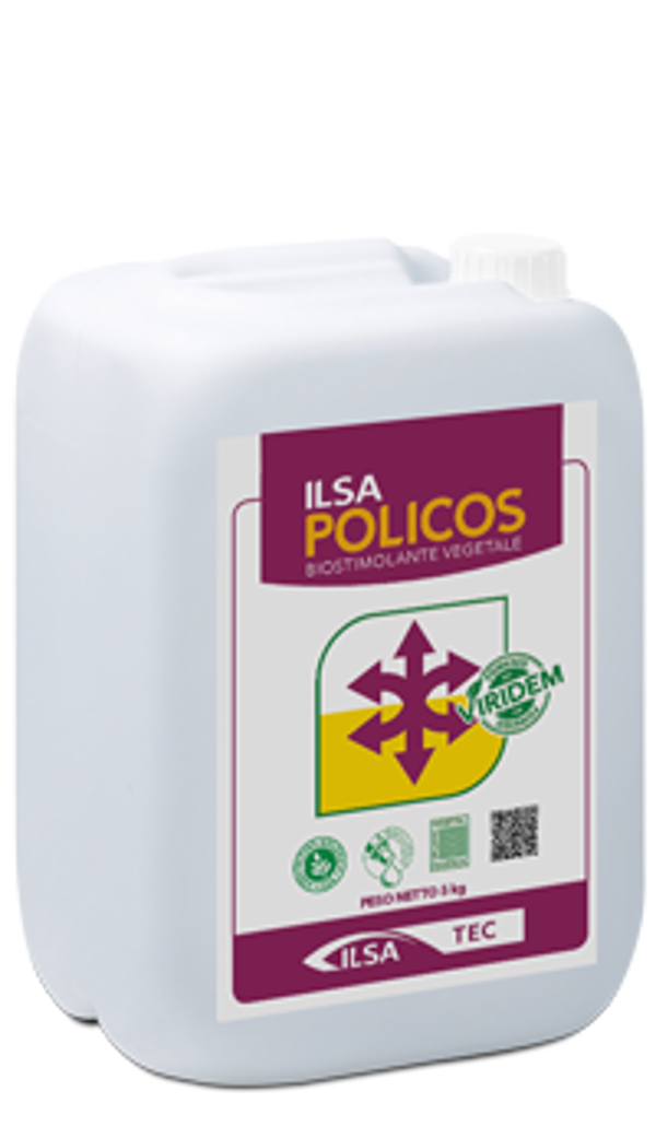 ILSA POLICOS