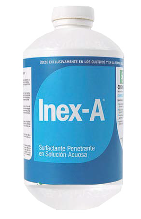 INEX-A