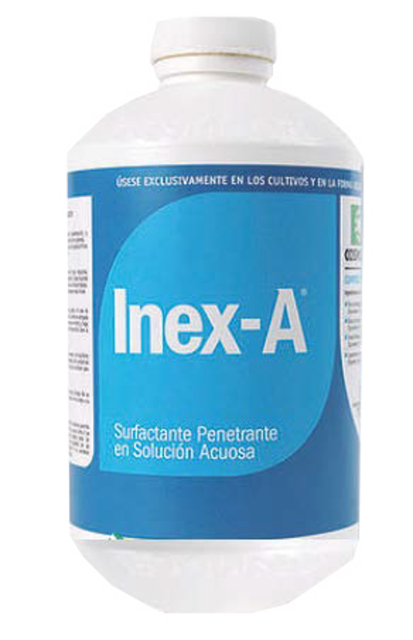 INEX-A