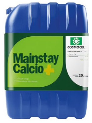 MAINSTAY CALCIO