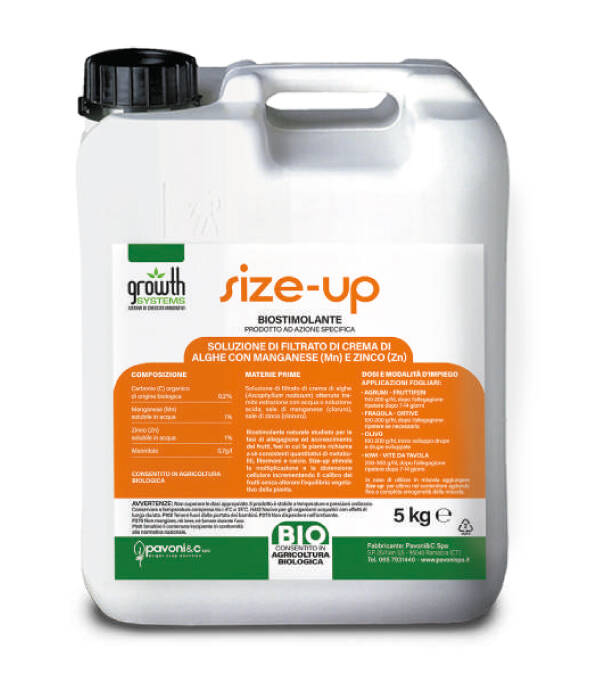 SIZE-UP