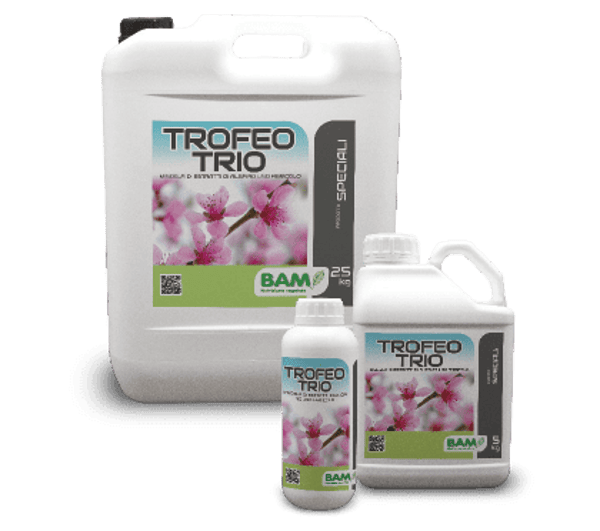 TROFEO TRIO