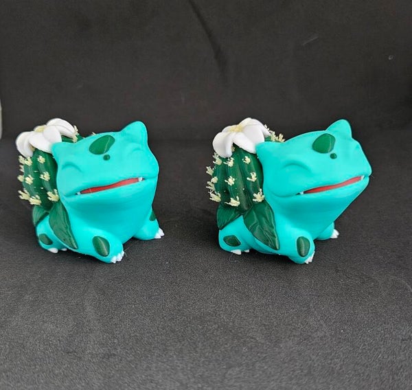 Bulba cactus