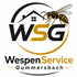 WSG WespenService Gummersbach