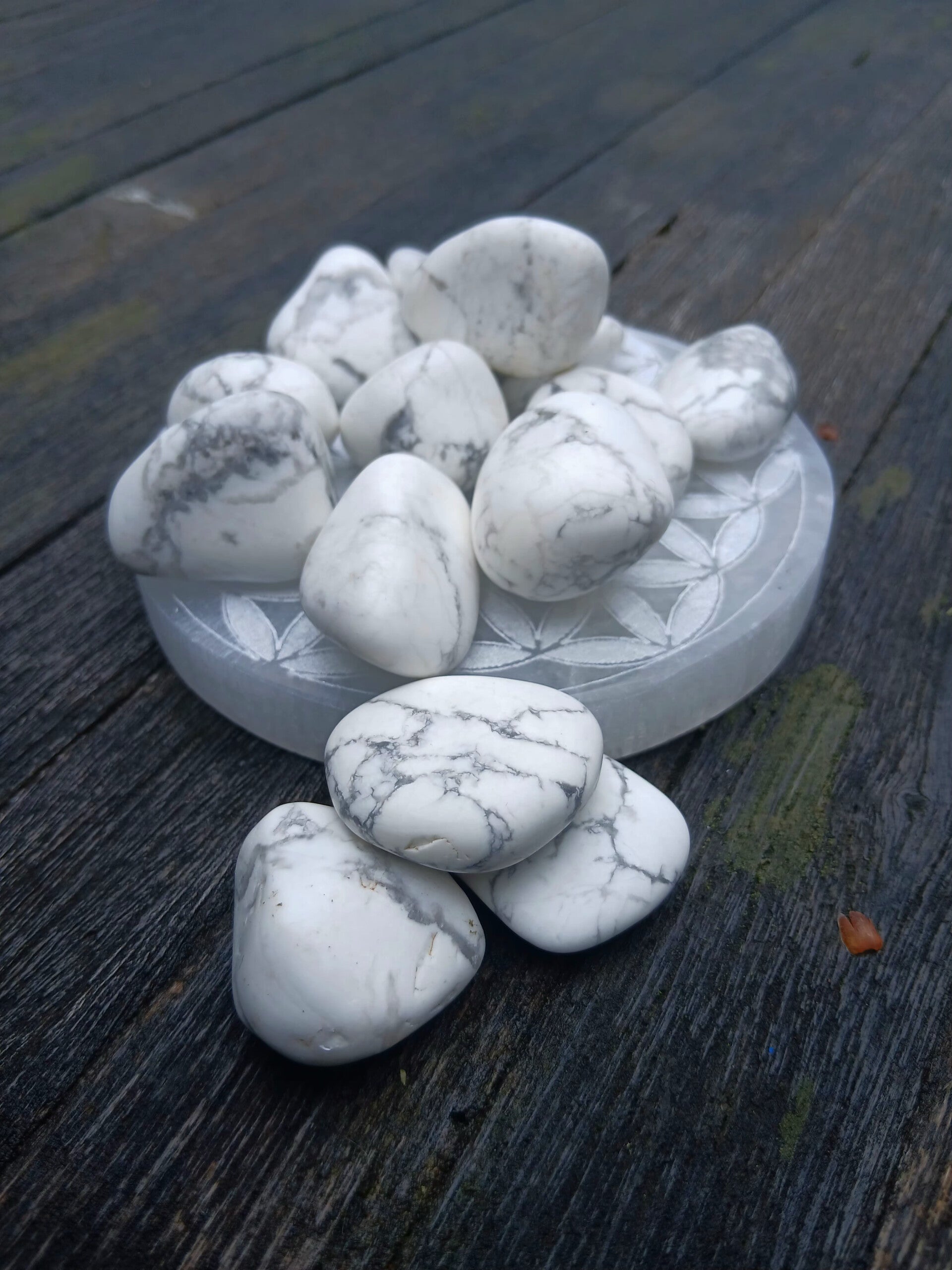 Pierres roulées en Howlite Blanche " Bison Blanc "