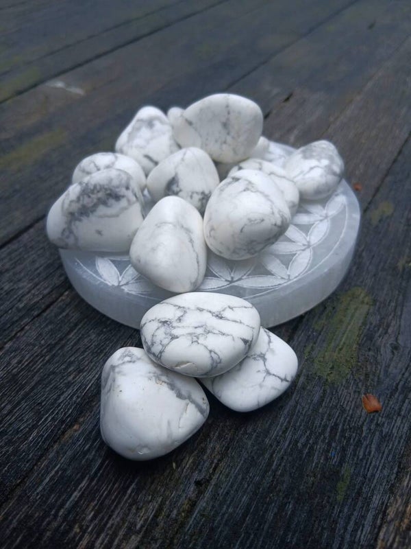 Pierres roulées en Howlite Blanche " Bison Blanc "