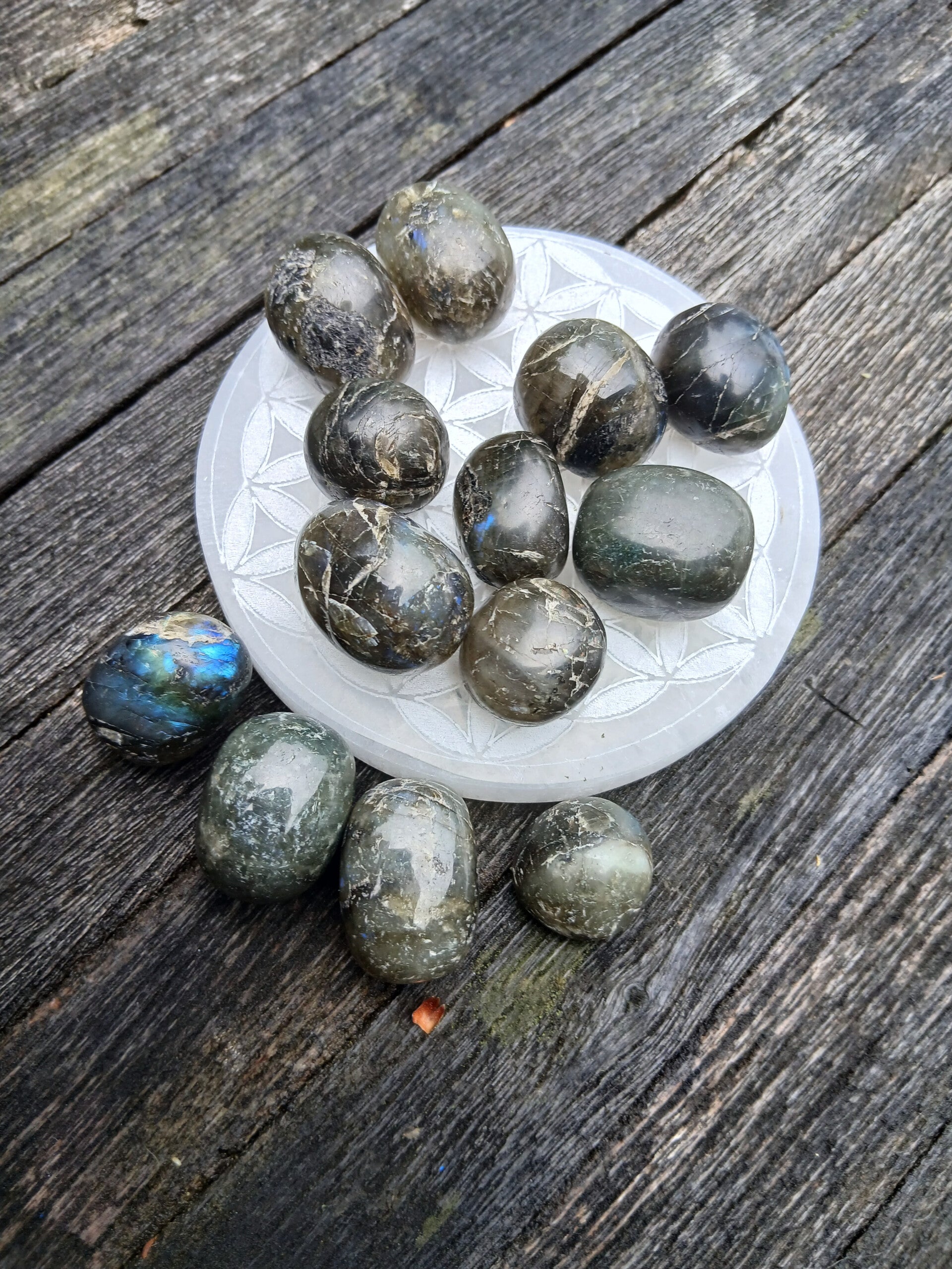 Pierres roulées en Labradorite