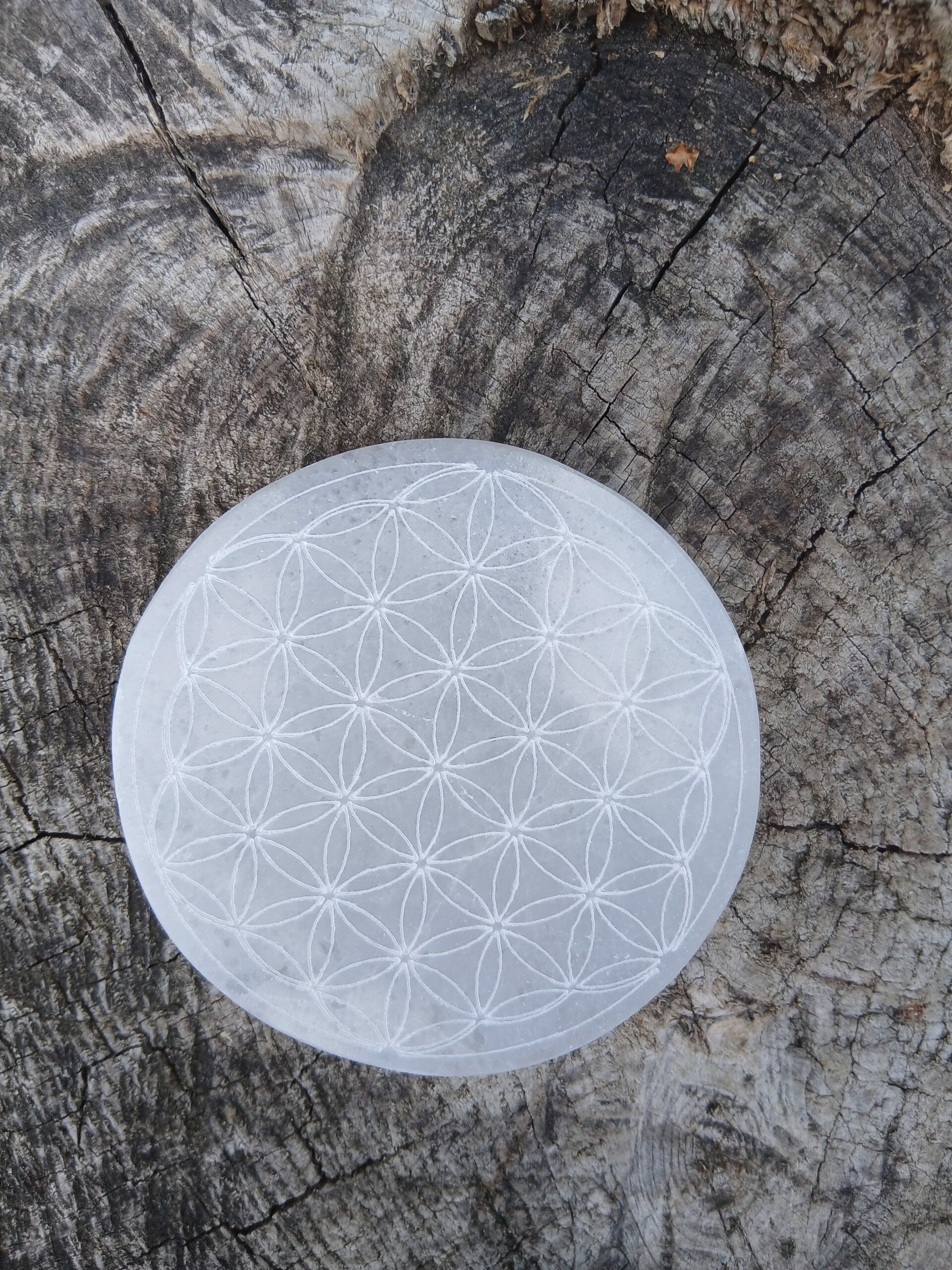 Fleur de Vie " Géométrie " En Sélénite blanche 10 cm.