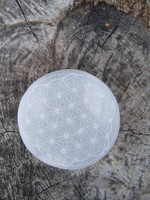 Fleur de Vie " Géométrie " En Sélénite blanche 10 cm.