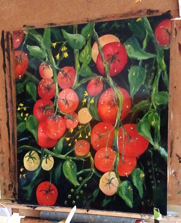 olieverf tomaten