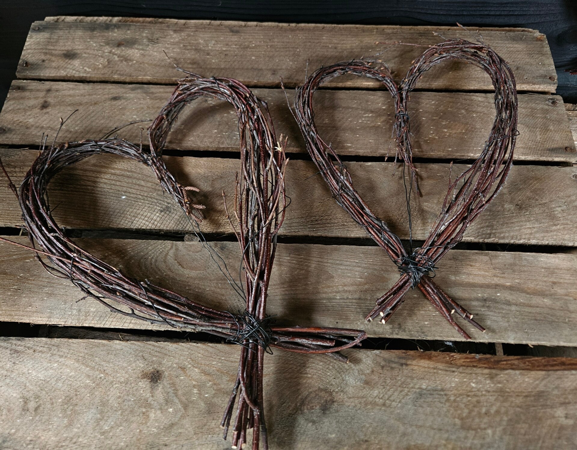 Hart van berkentakken