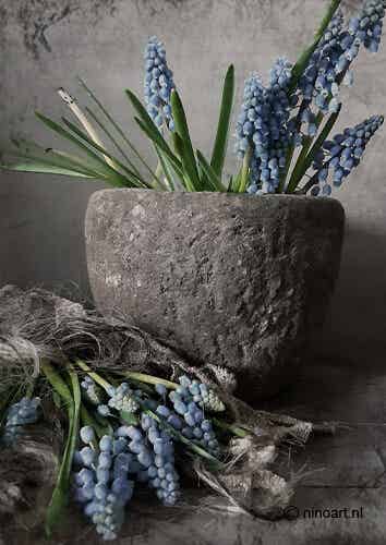 Deco bordje blauwe druifjes A5