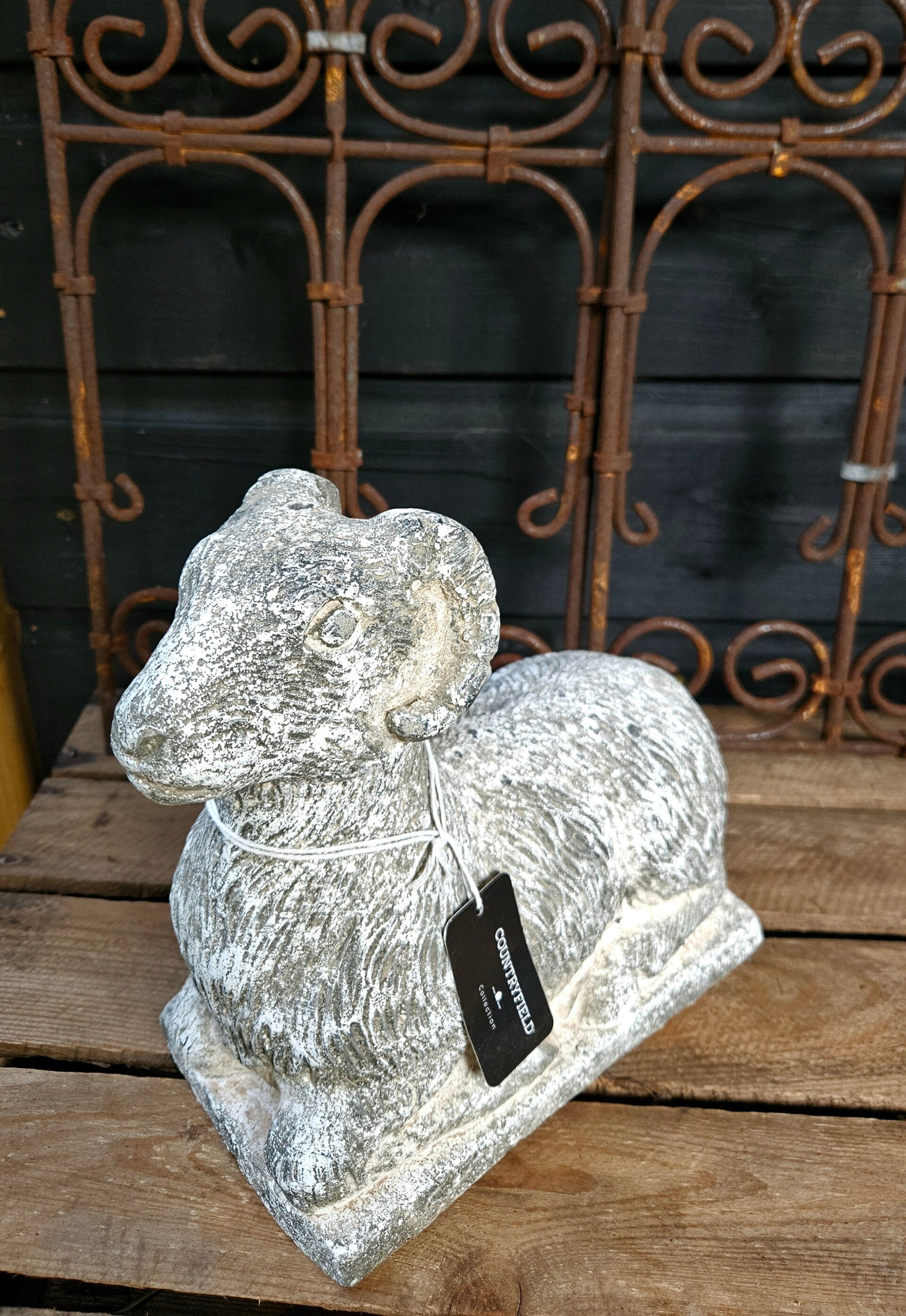 Ram maat L Countryfield