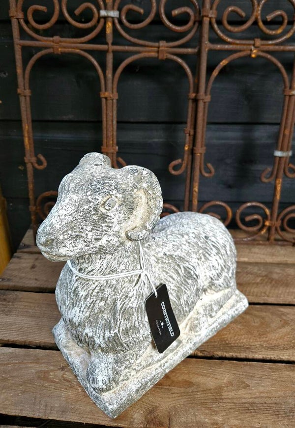 Ram maat L Countryfield