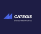 Categis Strategy Agency