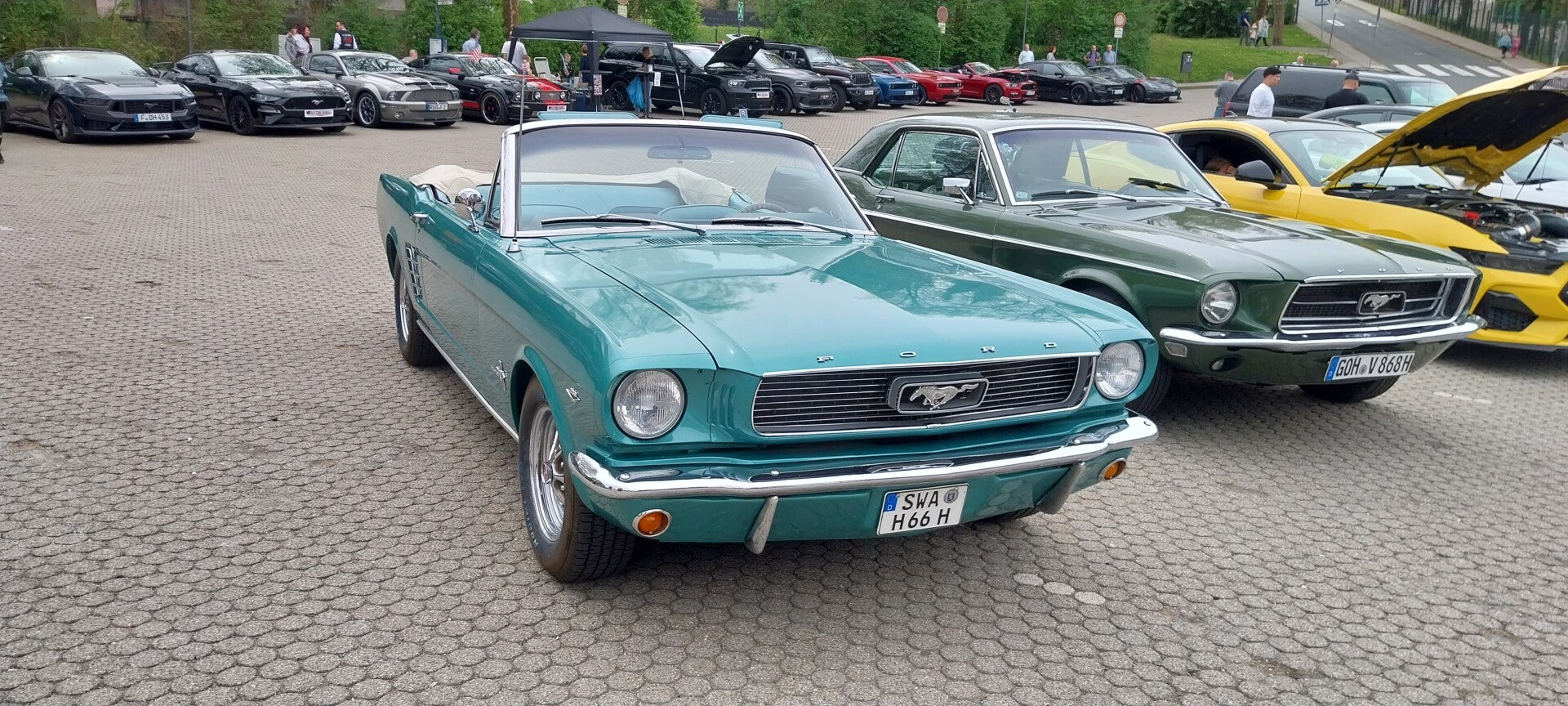 20260503_132642-standard.jpg
