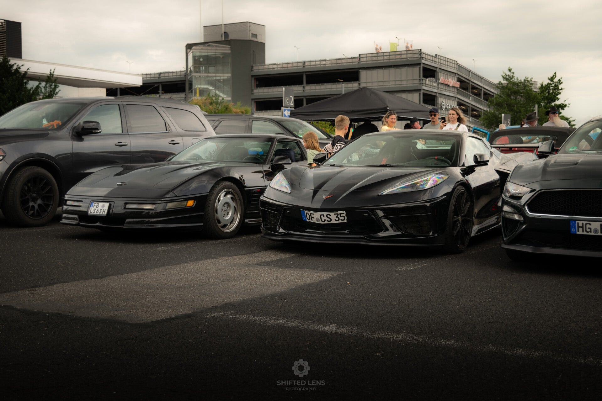 dsc_0051-standard.jpg