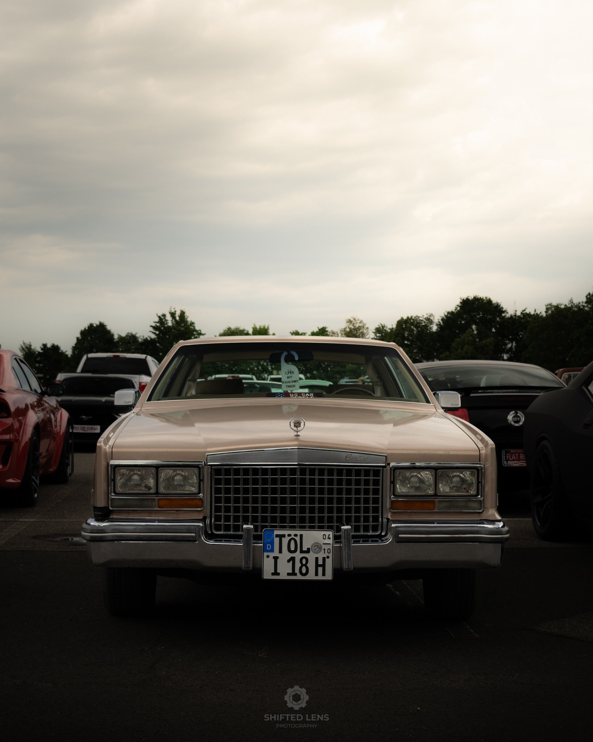dsc_0073-standard.jpg