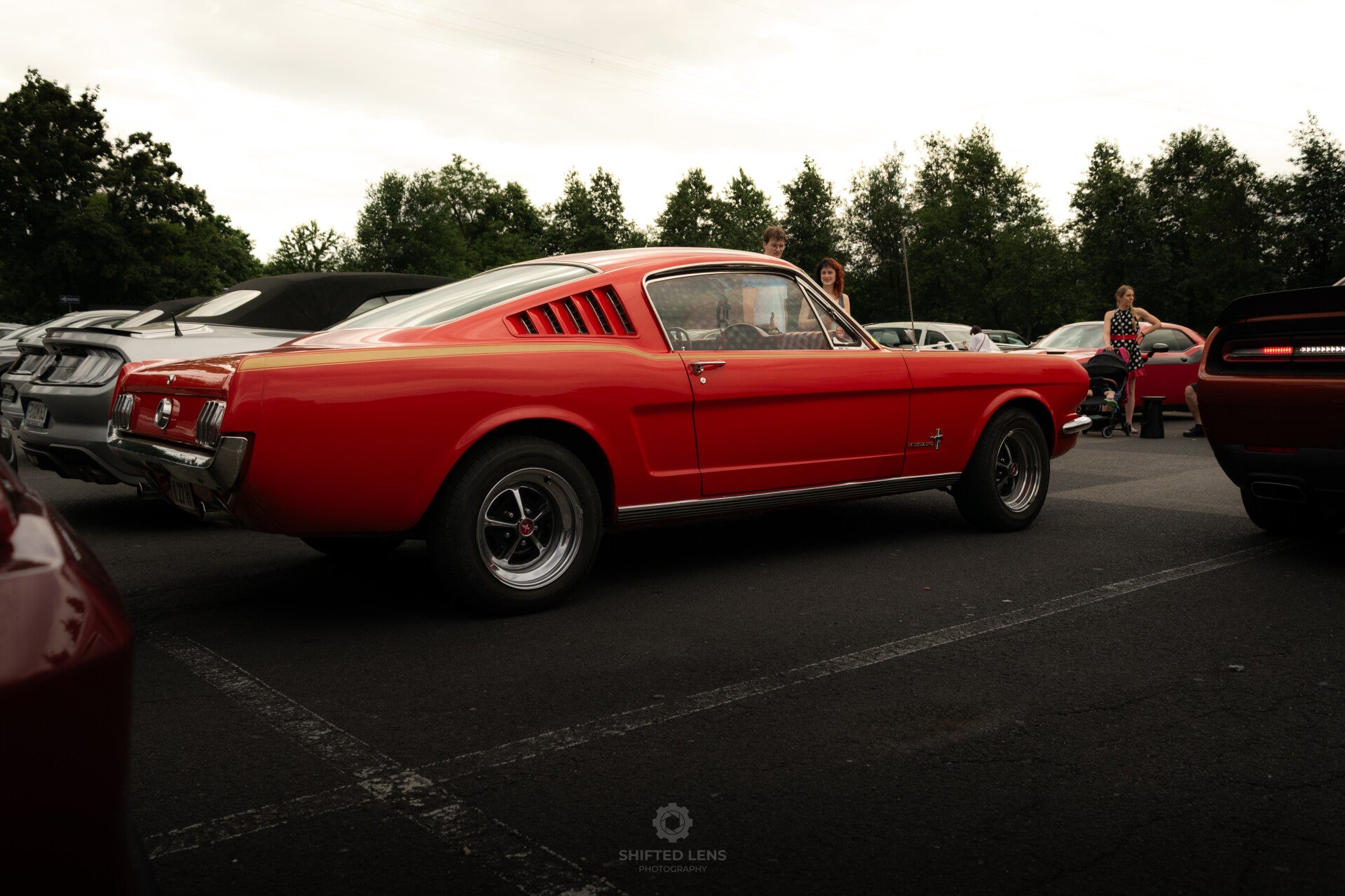 dsc_0204-standard.jpg