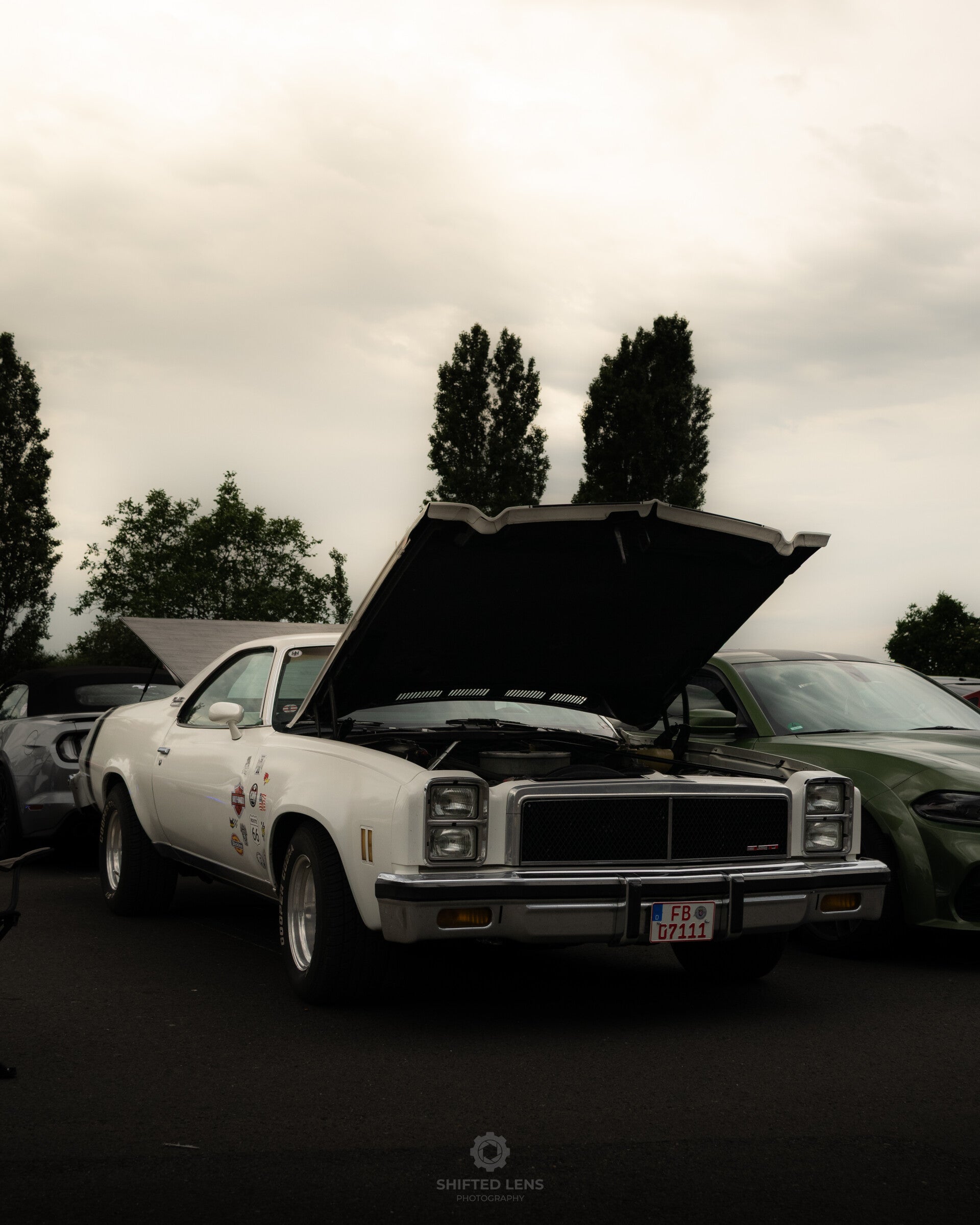 dsc_0211-standard.jpg
