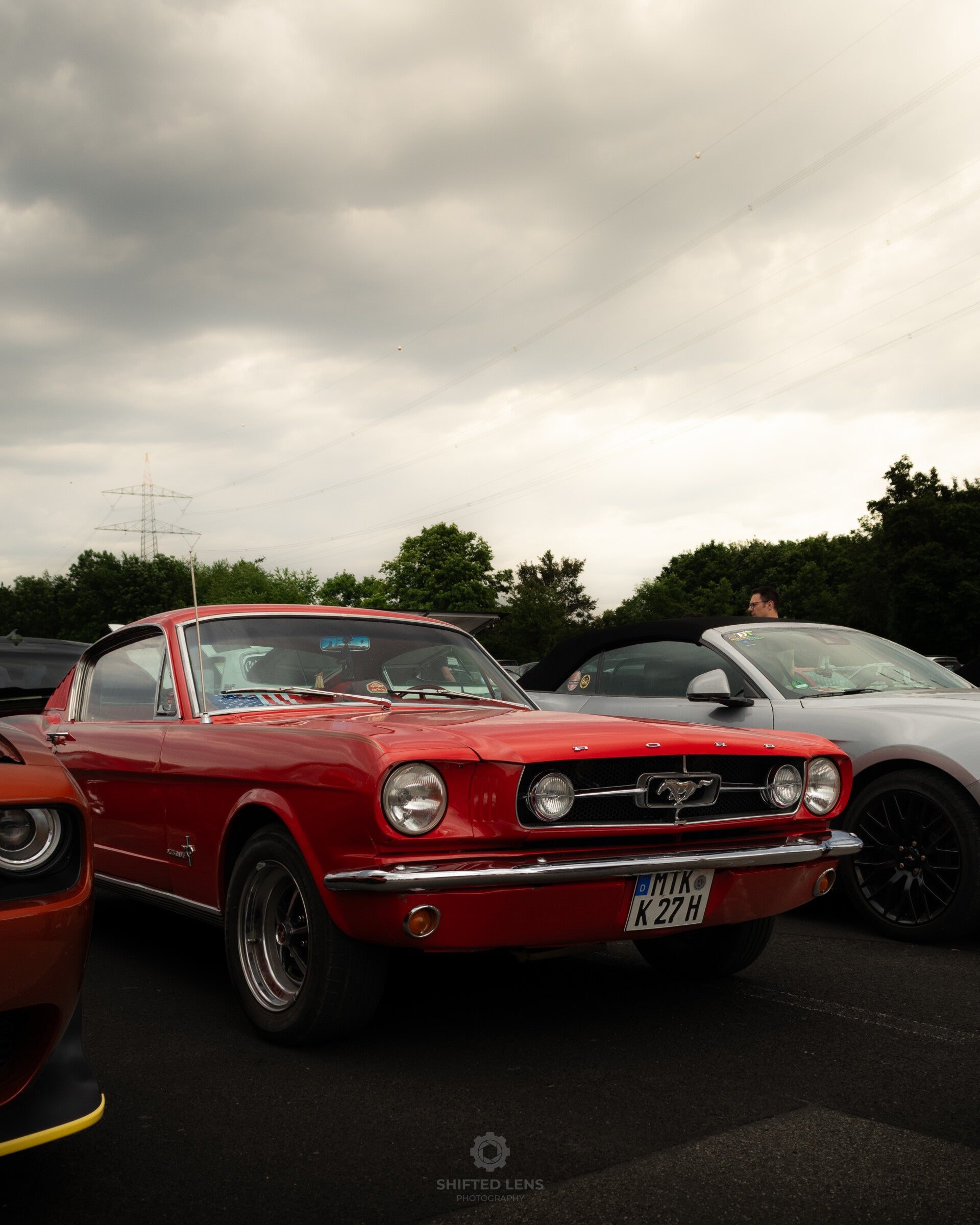 dsc_0273-standard.jpg