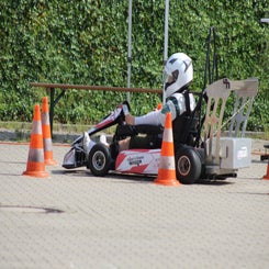 1000083134-standard.jpg