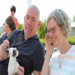 1000083174-standard.jpg
