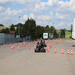1000083319-standard.jpg