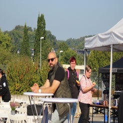 1000083669-standard.jpg