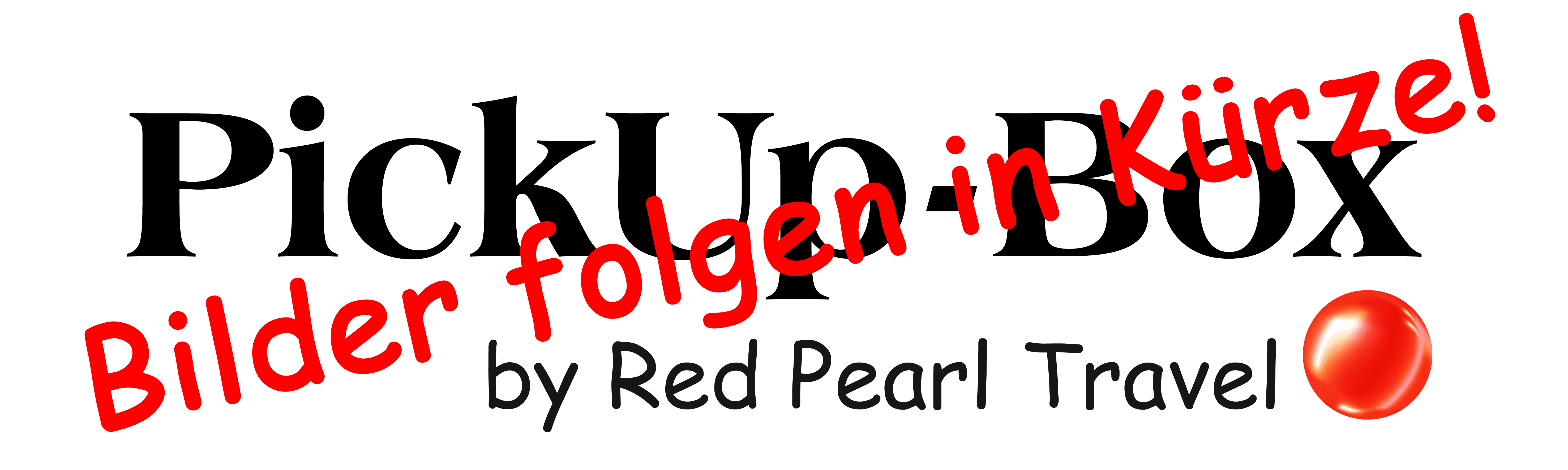 PickUp-Box Camplife mini plus