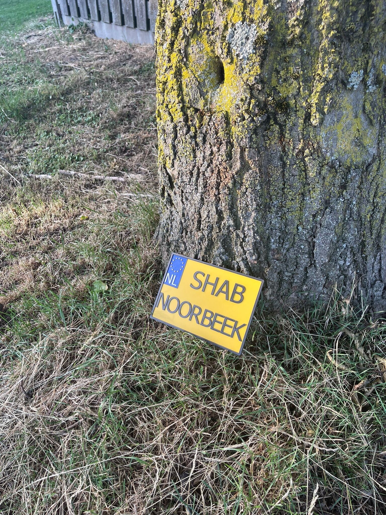 custom license plate