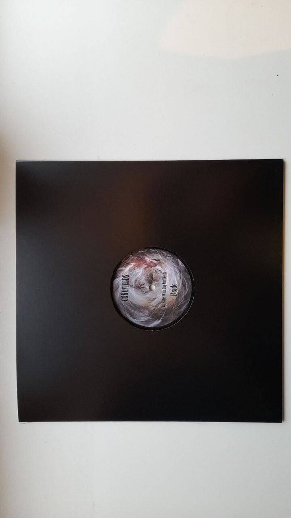 12 inch vinylplaat