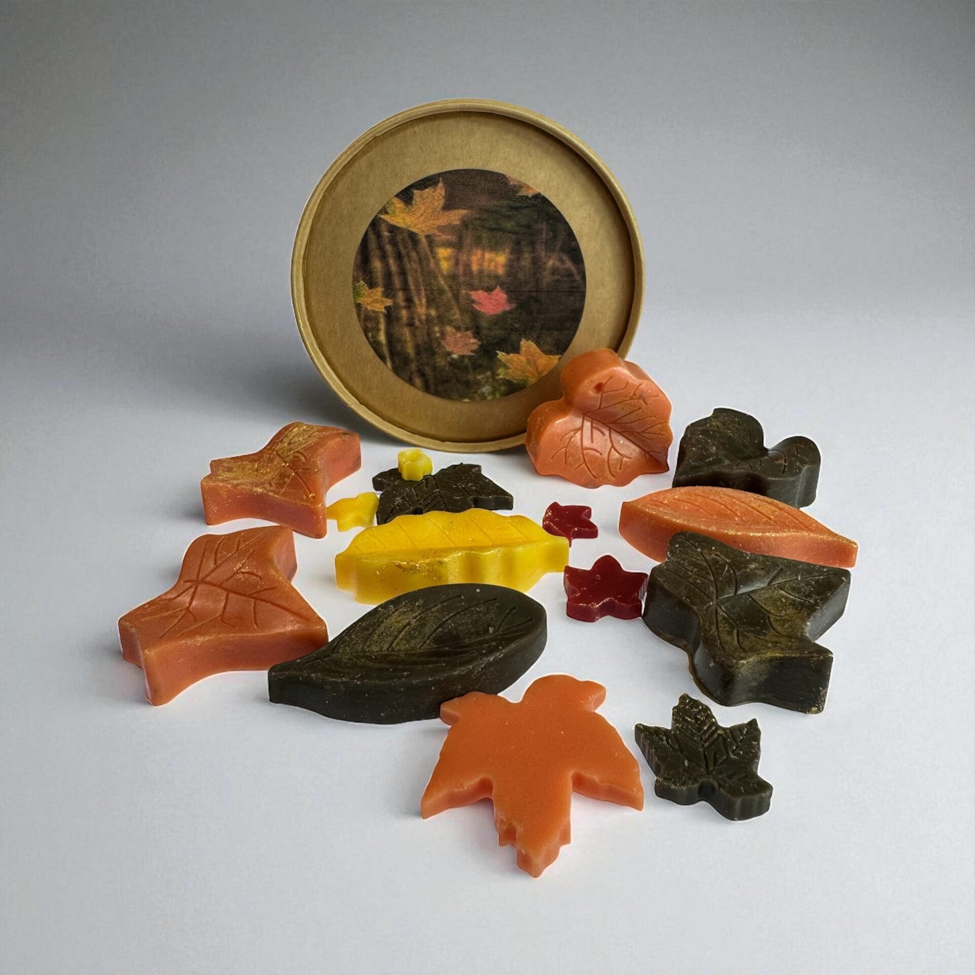 Wax Melt Special Falling Leaves