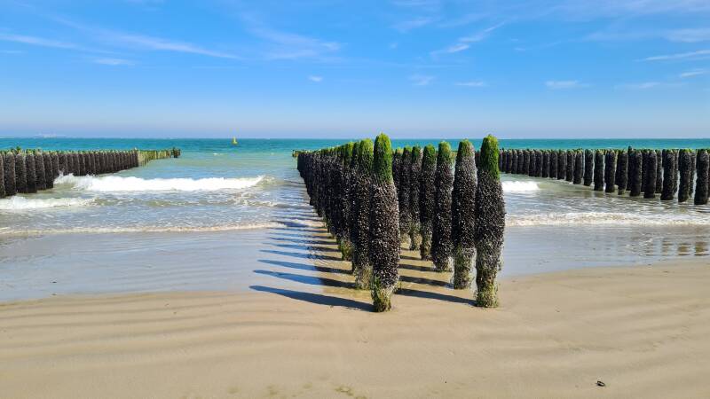 paaltjes aan het strand