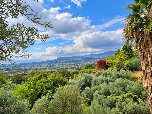 Palmento Storico di fine '800 ai Piedi dell’Etna