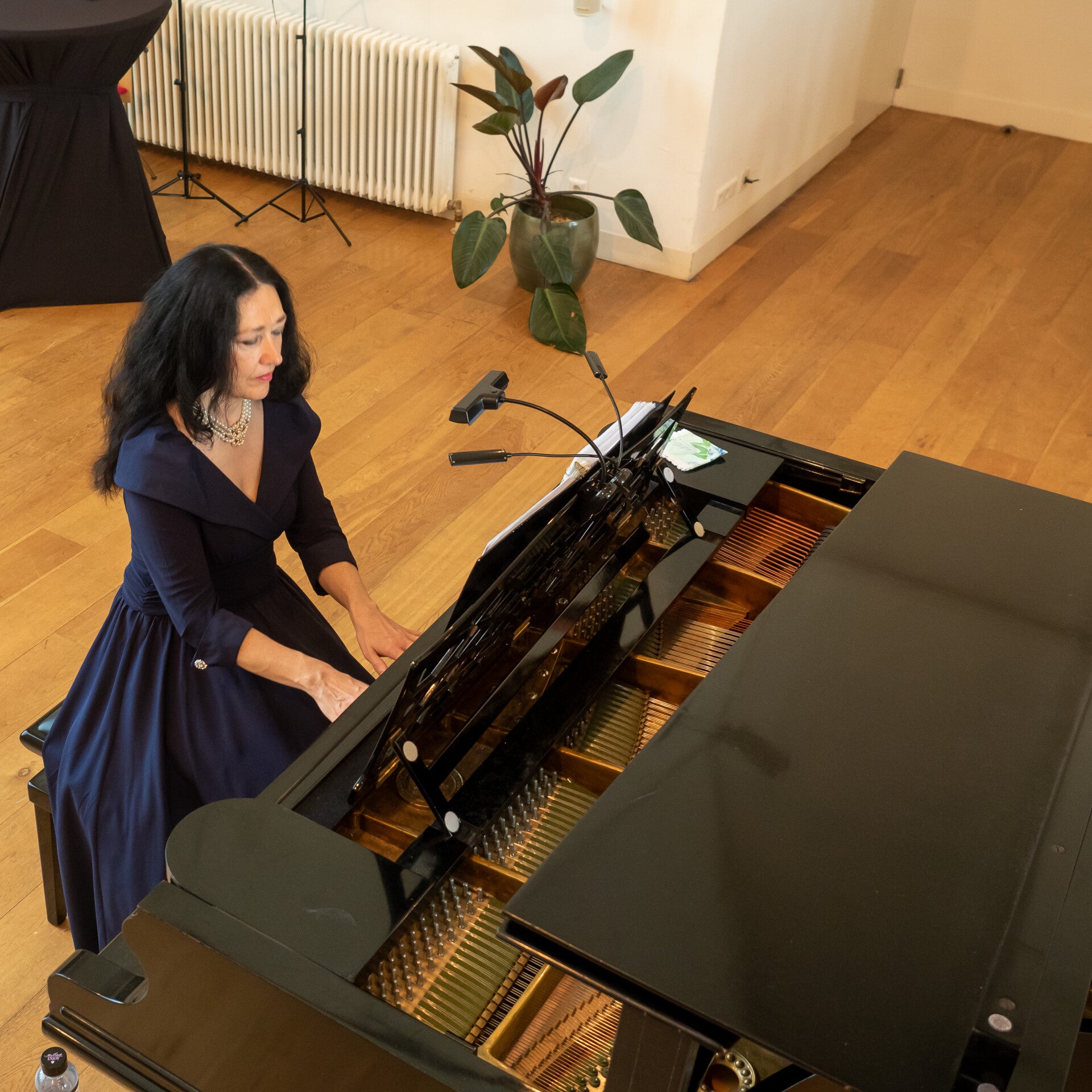 Tatiana Kiourou achter de vleugel