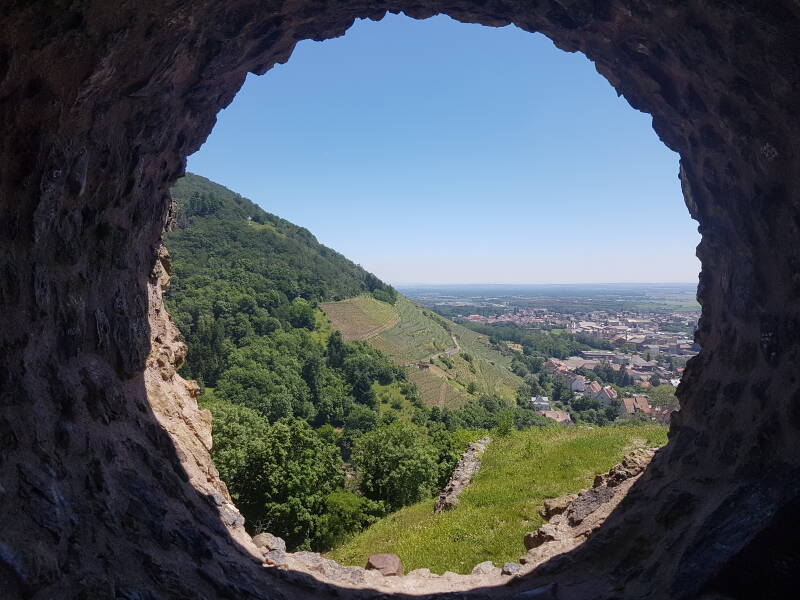 vue sur la plaine d'Alsace