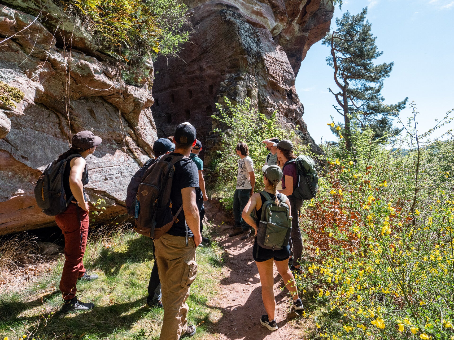 randonnée guidée dans les Vosges du Nord