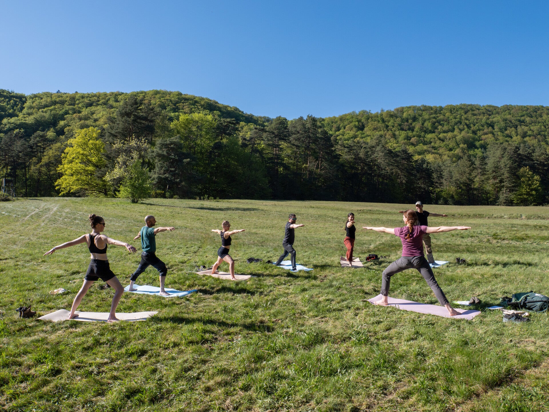 séance de Yoga en pleine nature