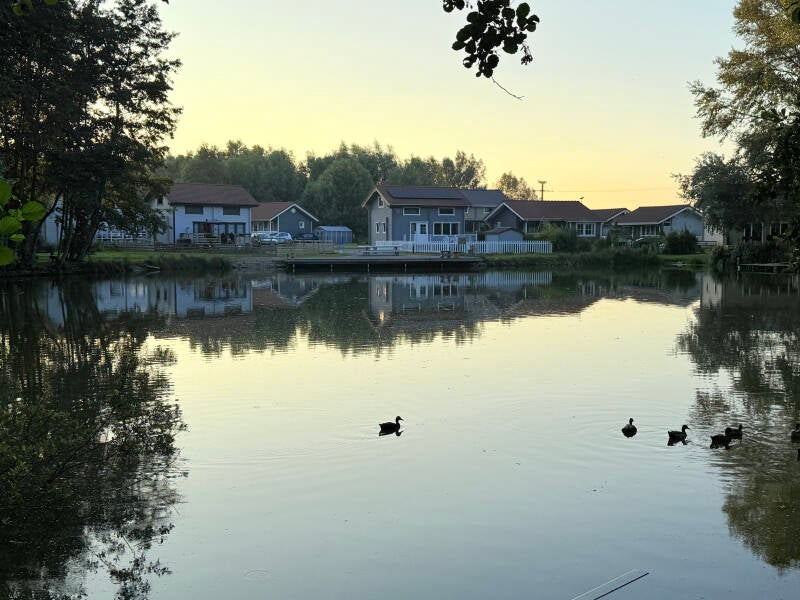 Vue sur l'étang dans le domaine de l'Aa (privé) du chalet kota coeur de bois