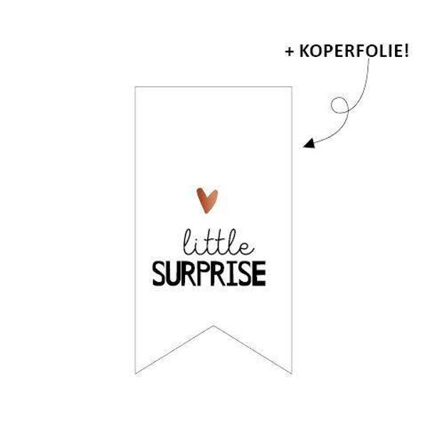 Sticker vaantje 30x55mm - Little surprise (€2,- per 10 stuks)