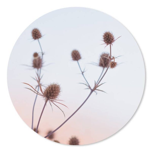Muurcirkel distels 30 cm