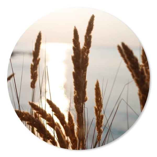 Muurcirkel pluimen 30 cm