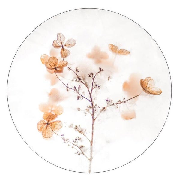 Muurcirkel brown floral 30 cm