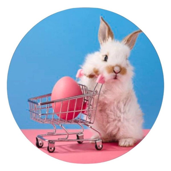 Muurcirkel Bunny goes Shopping 20 cm