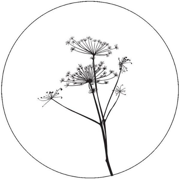 Muurcirkel berenklauw wit 30 cm